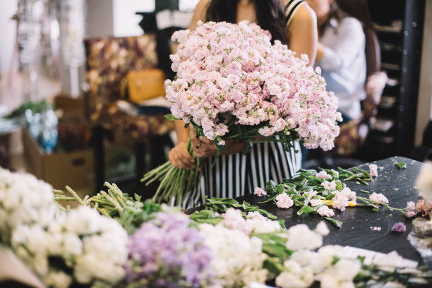 年轻的女花店工作，分拣新鲜送来的嫩粉色马提奥拉花在花店图片下载