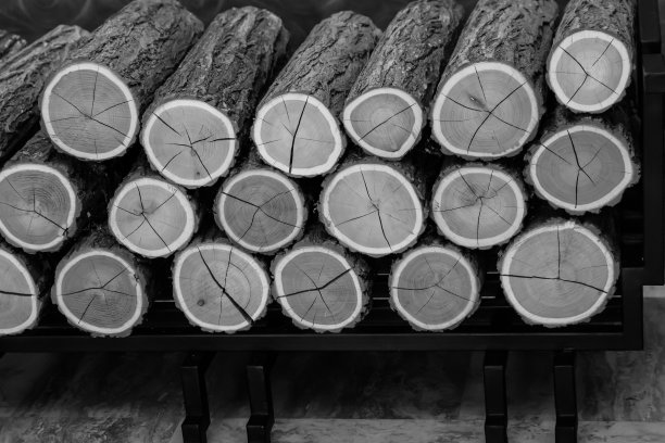 原木的背景是灰色的。锯得光滑的木头切割得光滑图片下载