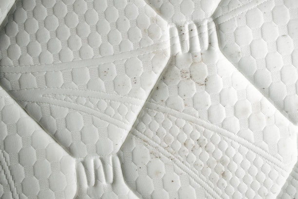 床垫发霉。图片下载