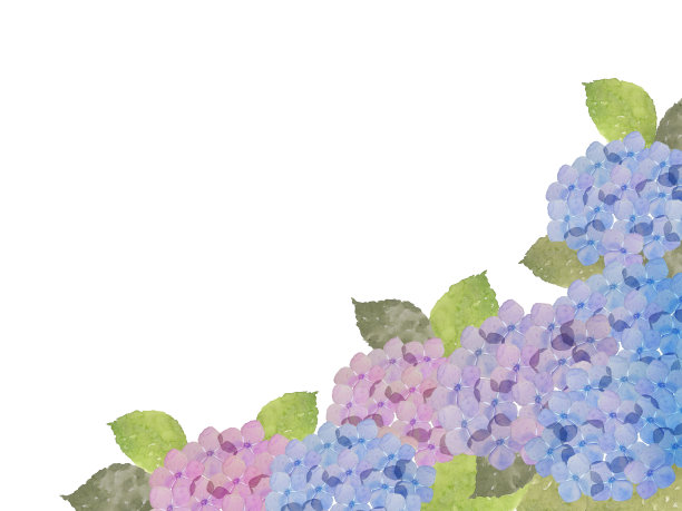 水彩绣球花图片下载