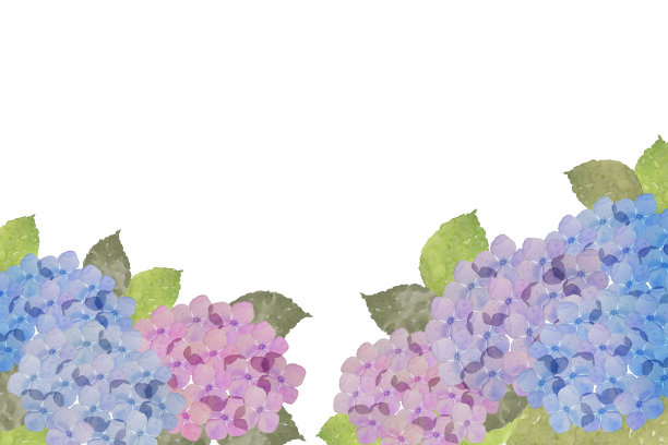 水彩绣球花图片下载