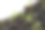 小计划的特写在黑色的塑料罐子里发芽。园艺。图片下载