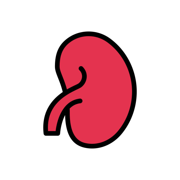 泌尿外科图片下载