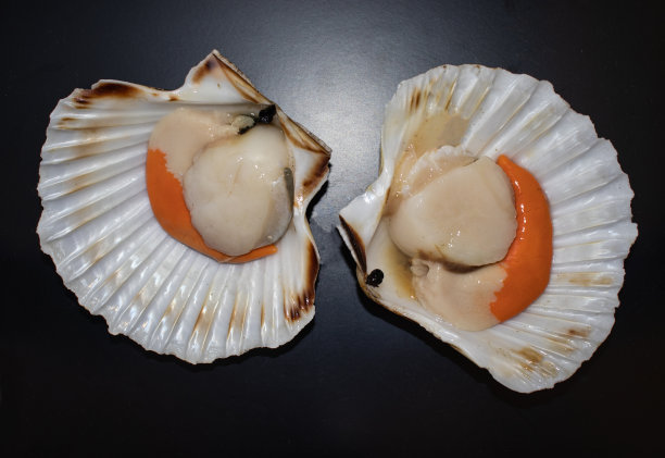剥开的生扇贝图片下载