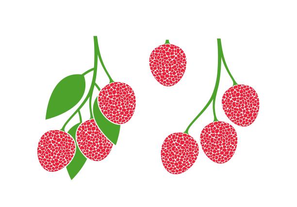 荔枝的标志。孤立的荔枝在白色的背景图片下载