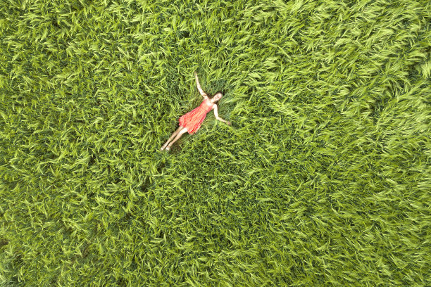 从上面看，一个年轻迷人的苗条女人穿着红色的衣服，闭着眼睛躺在绿色的麦田里。图片下载