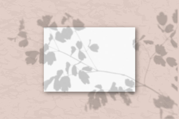 一张水平A4纸白色纹理纸在粉红色的墙壁背景。模型覆盖的植物阴影。自然光从植物和花卉的顶端投射阴影图片下载