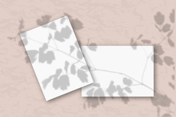 两张白色的纹理纸映衬着一堵粉红色的墙。模型与植物阴影覆盖。自然光从植物和花卉的顶端投射阴影。平躺，俯视图图片下载