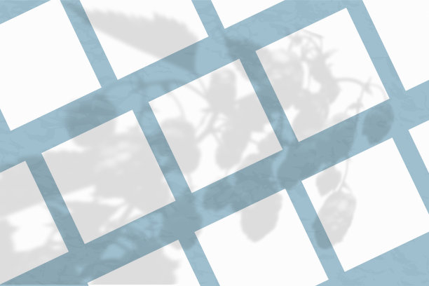 蓝色的墙上贴着许多方形的白色纹理纸。模型覆盖的植物阴影。自然光从植物和花卉的顶端投射阴影。平躺，俯视图图片下载