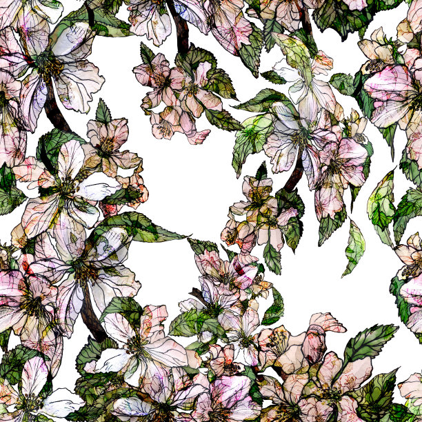 水彩画用水彩和墨水画的画苹果树的花。无缝模式。纺织品，墙纸，包装，封面，织物的设计。图片下载