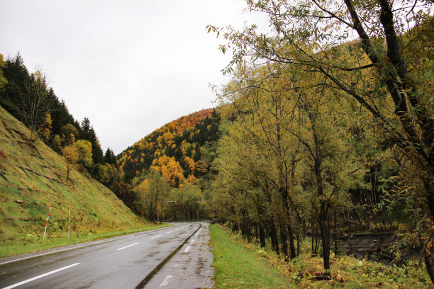 秋雨后的路图片下载