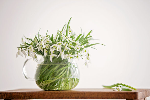 漂亮的男孩，蹒跚学步的金发小孩，捧着春天的鲜花，美丽的雪花莲图片下载