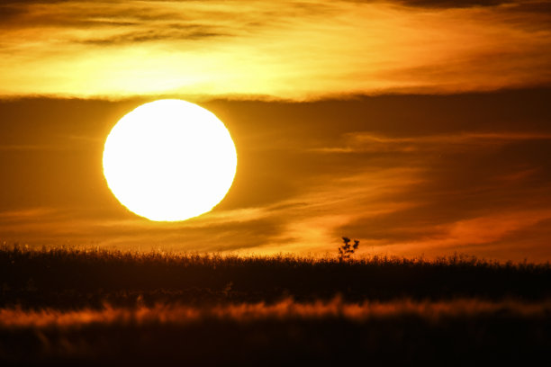 夕阳落在匈牙利山区农场的金色小麦或大麦上。薄云被太阳照亮，呈现出红色、橙色和金色。图片下载