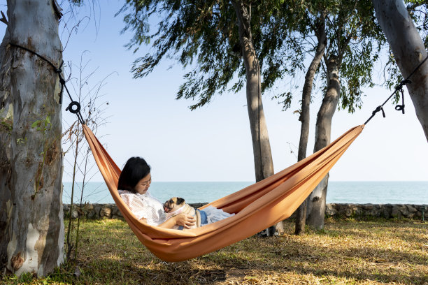 有趣可爱的哈巴狗微笑着伸出舌头，与她的主人，快乐的年轻的家庭，躺在沙滩上舒适的吊床上休息的女人的旅行。幸福时光的概念。图片下载