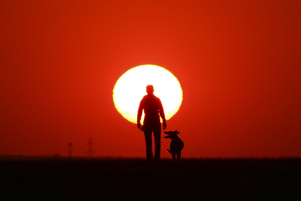 日落时分，一个女人带着她的狗散步。n轮廓的形状是可见的。图片下载