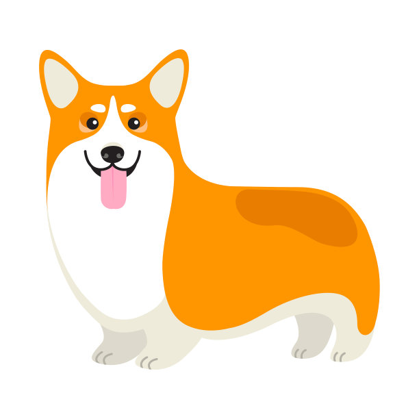向量快乐柯基狗插图在白色的背景图片下载