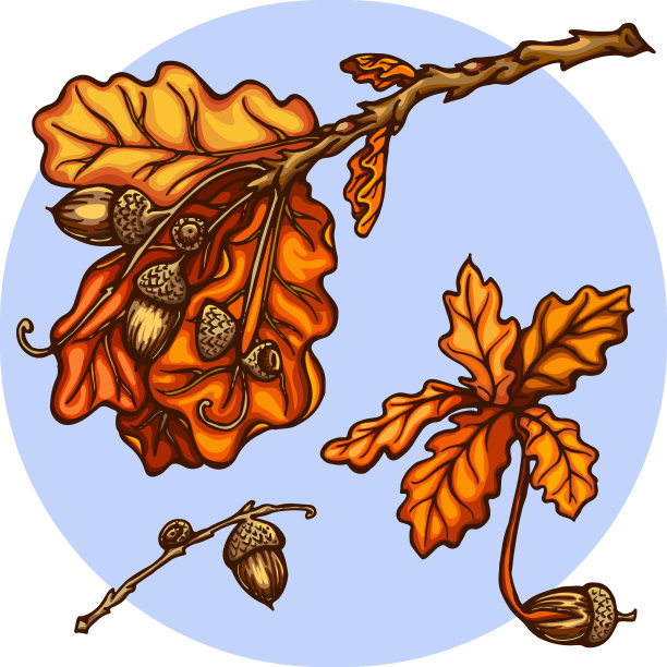 秋橡，矢元素图片下载