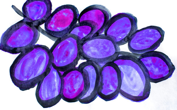 水彩程式化的形象一串紫色的葡萄，孤立在白色的背景，可爱的手绘图片下载