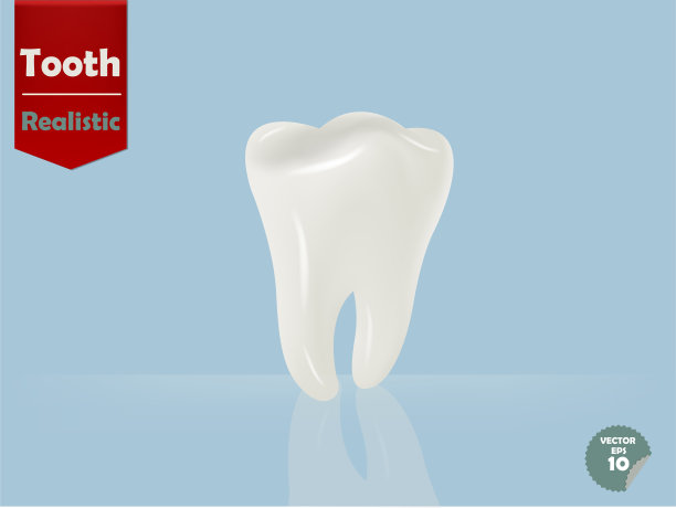 插图的现实美丽的牙齿和反射阴影在浅蓝色的背景图片下载