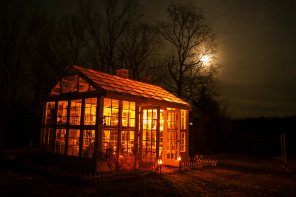一个美丽的维多利亚风格的花园温室的夜景，满月在树上图片下载