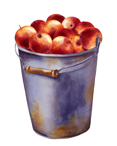 水彩红苹果在白色的背景图片下载