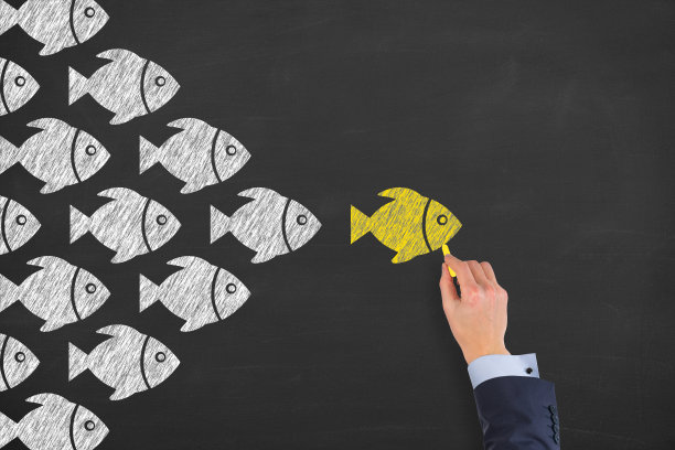 以黑板为背景的鱼类领导概念图片下载