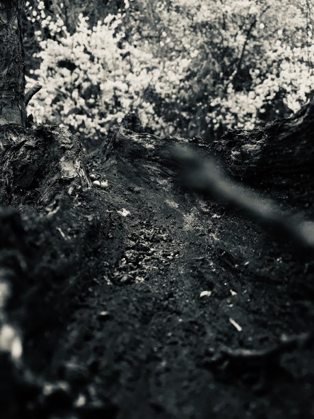 看到另一个世界图片下载