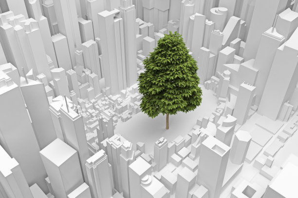抽象城市中的一棵大树图片下载