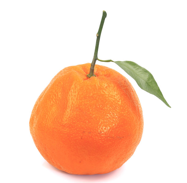 柑橘，柑橘，小柑橘，叶子孤立在白色背景上图片下载