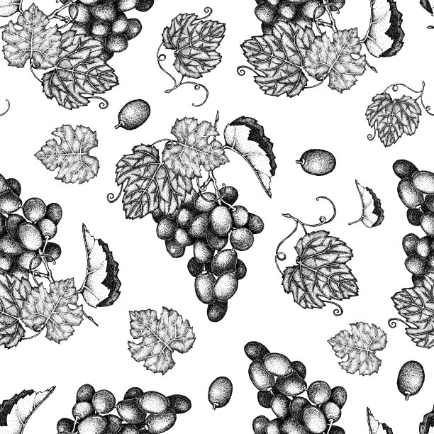 葡萄的叶子，浆果，树枝，刷子无缝图案。在白色背景上手绘的图形点。设计包装，包装，菜单，模板，标签。图片下载