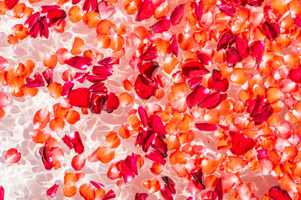 浴缸装饰室内水上的红玫瑰花图片下载