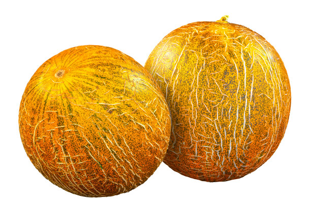 秋收-成熟黄瓜孤立图片下载