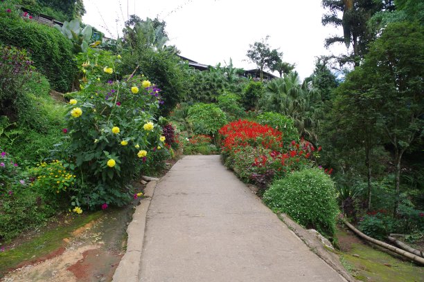 清迈苗族村图片下载