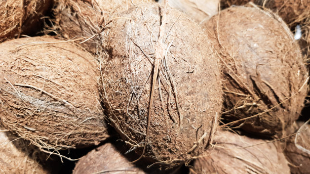 食品市场上的一堆椰子。热带水果椰子的微距照片。纹理有毛的坚果，椰子水果。壳里的椰子图片下载