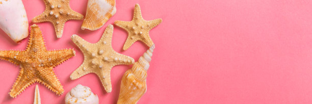 海贝和海星在粉红色的旗帜背景和沙子上。休假时间的概念图片下载