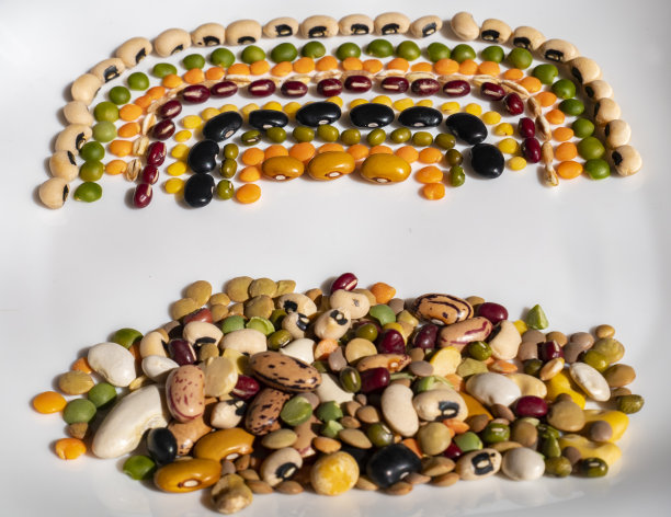 绿豆和红豆，西班牙豆，棕豆，cannellini豆，tondini豆，borlotti豆，伟大的北方豆，黑豆，黑眼豆，salugia豆，魔术豆，小扁豆图片下载