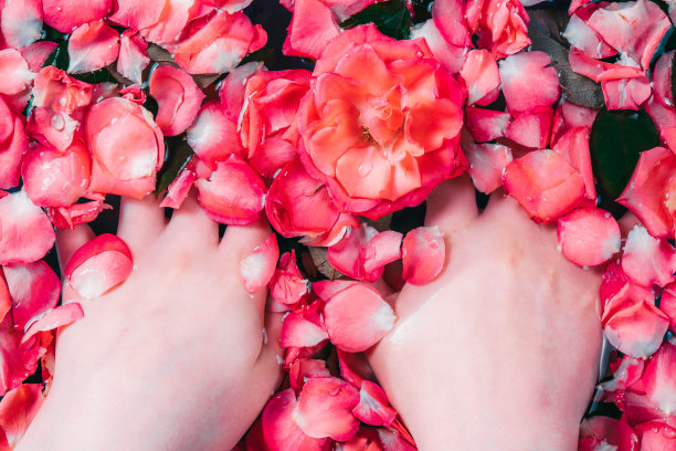 鲜红玫瑰和玫瑰花瓣的水疗和水处理图片下载