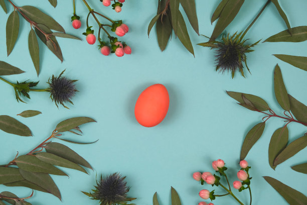红色的复活节彩蛋在蓝色的背景在树叶图片下载