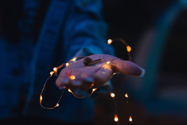 可爱的艺术有趣的Funky照片，一个高加索人的手涂指甲拿着一个黏糊糊的蜗牛与仙女灯串在一个夏天的暴风雨后图片下载