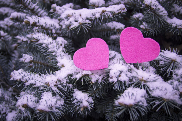 白雪覆盖的圣诞树上的两颗红心图片下载