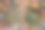 花在秋天的花园背景。秋天后院花园照片。俯视图，平放图片下载