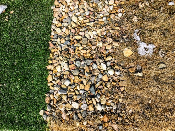 一个人造草坪的头顶视图旁边，在冬天与真正的天然草比较。人造草坪看起来好多了。图片下载