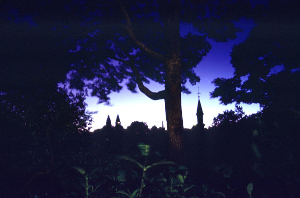 中央公园动物园图片下载