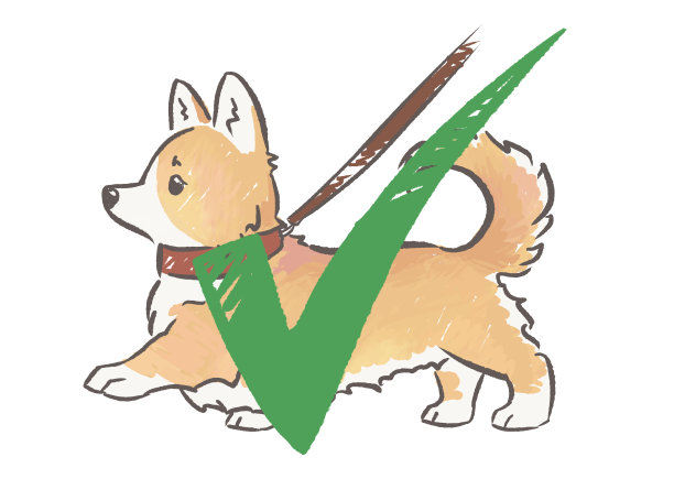 莎玛的威尔士矮脚狗图片下载