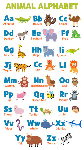 英文矢量字母动物图片下载