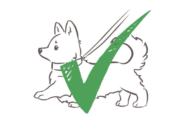 莎玛的威尔士矮脚狗图片下载