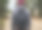 周末露营在森林里散步特写照片图片下载