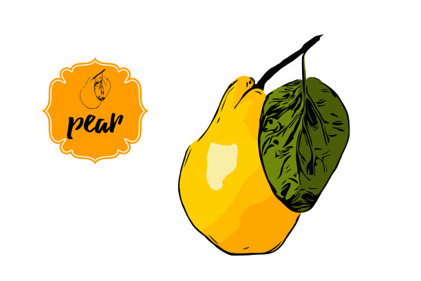 卡通手绘梨黄色和橙色与绿色的叶子孤立在白色。图片下载