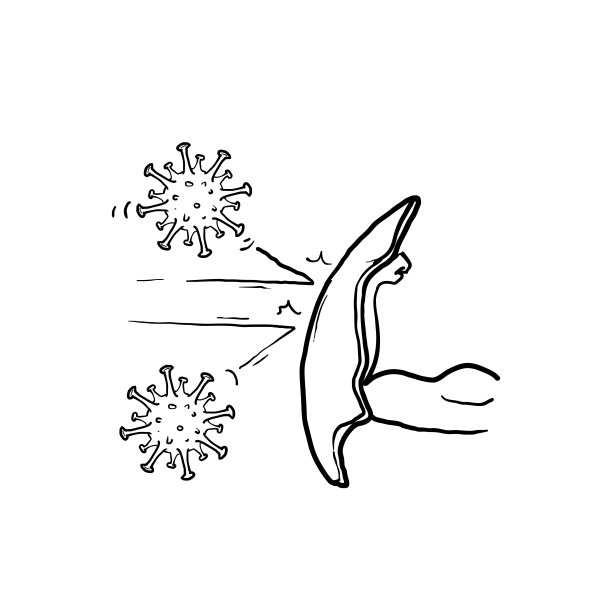 手绘病毒保护概念与盾牌和病毒细胞在白色背景。抗生素,疫苗接种。现代线框设计矢量插图图片下载