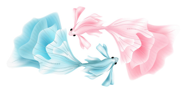 有颜色的鱼孤立在白色背景上。阴阳。图片下载